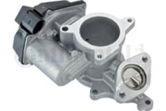 EGR VALFI