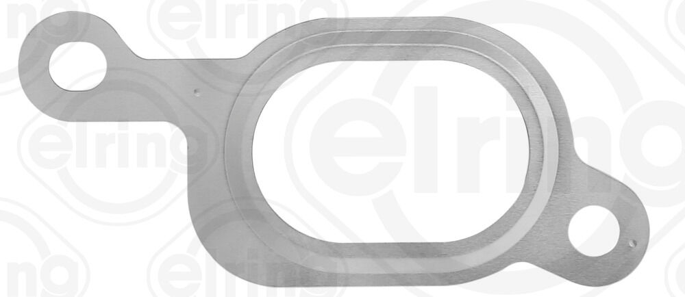 EGZOZ MANIFOLD CONTA